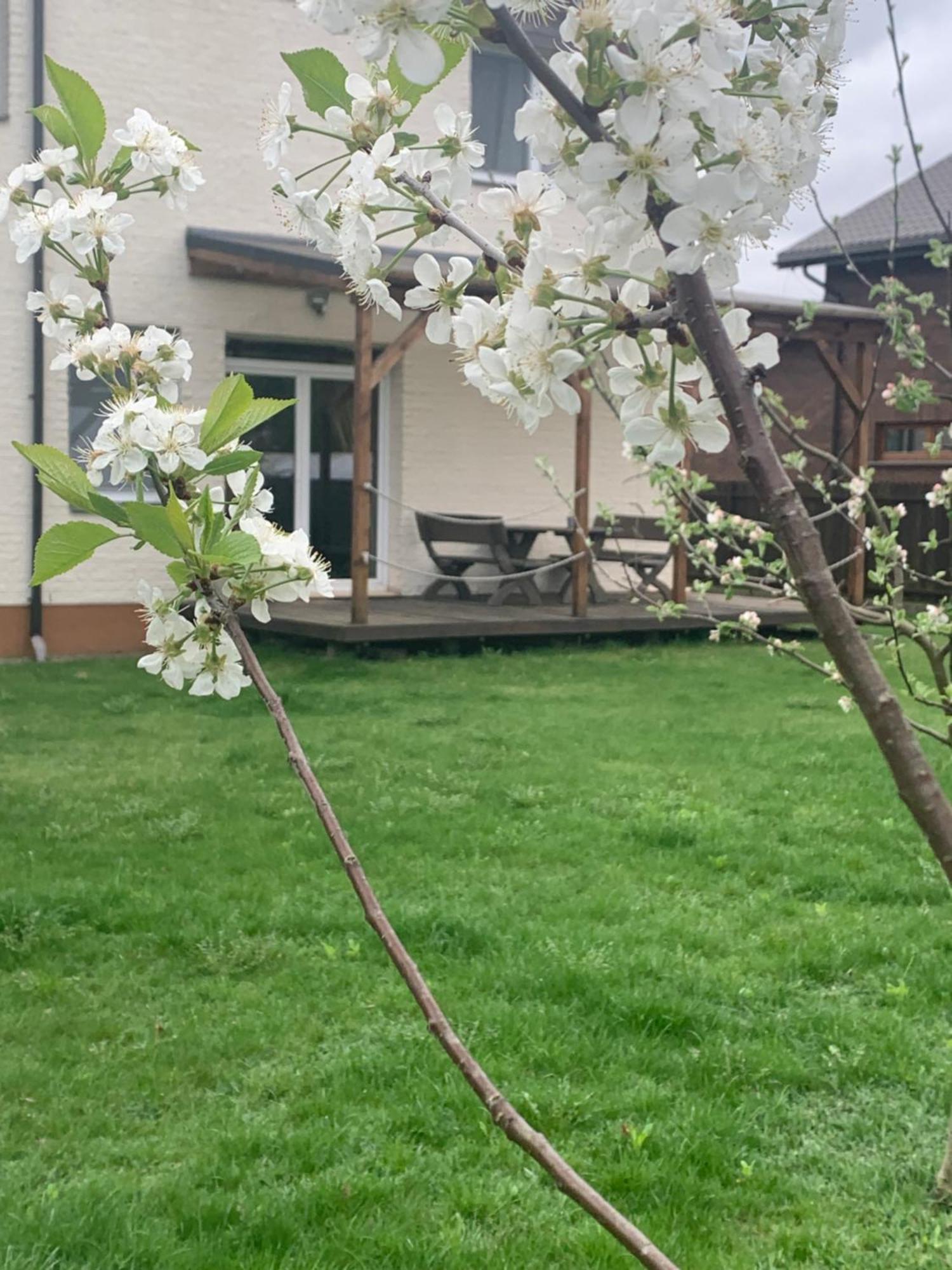 Pilaites Svetingi Namai Apartman VNO Kültér fotó